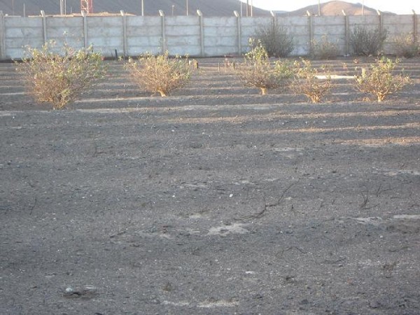VENTA DE ANTOFAGASTA venta de antofagasta: